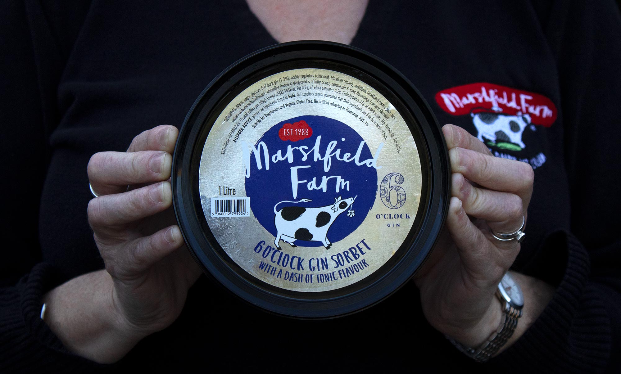 Gin & Tonic Sorbet Marshfield Farm Ice Cream