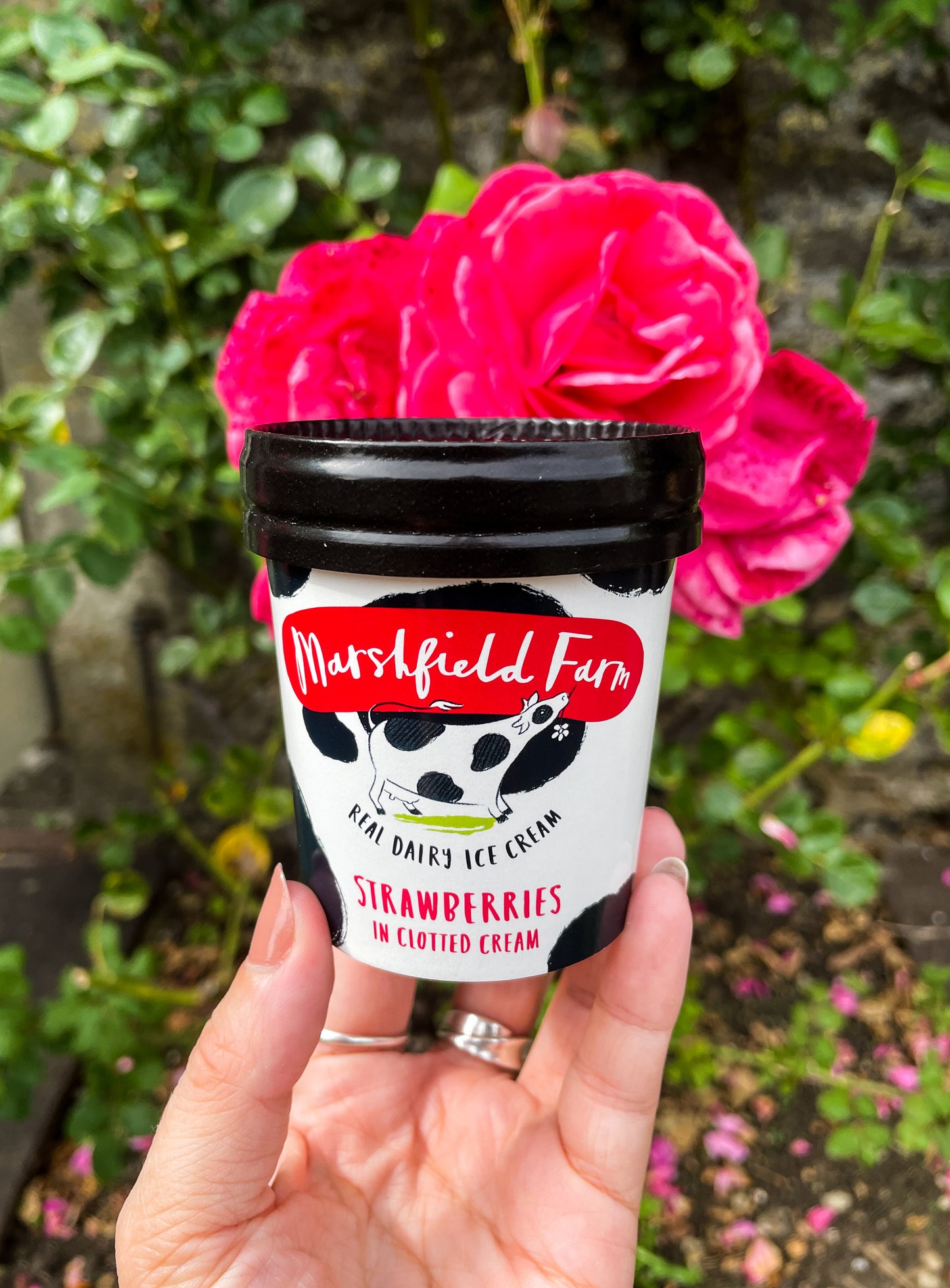 Strawberries in Clotted Cream Mini Tubs