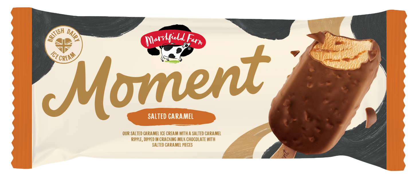 Salted Caramel Moment 20 x 110ml