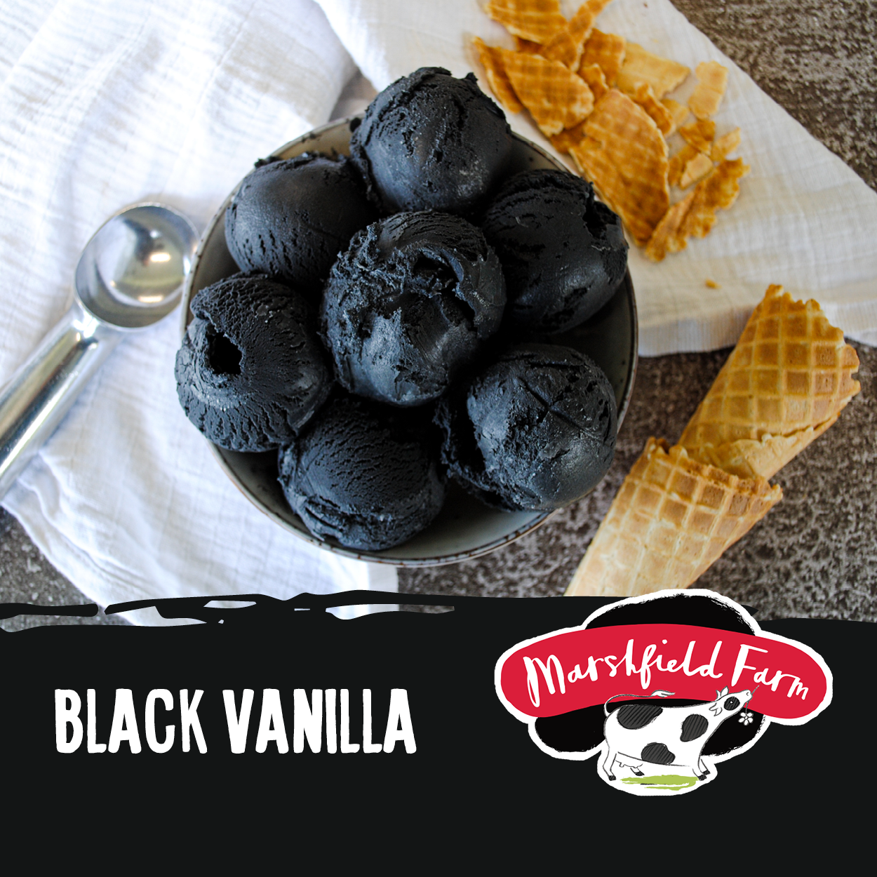 Black Vanilla Ice Cream
