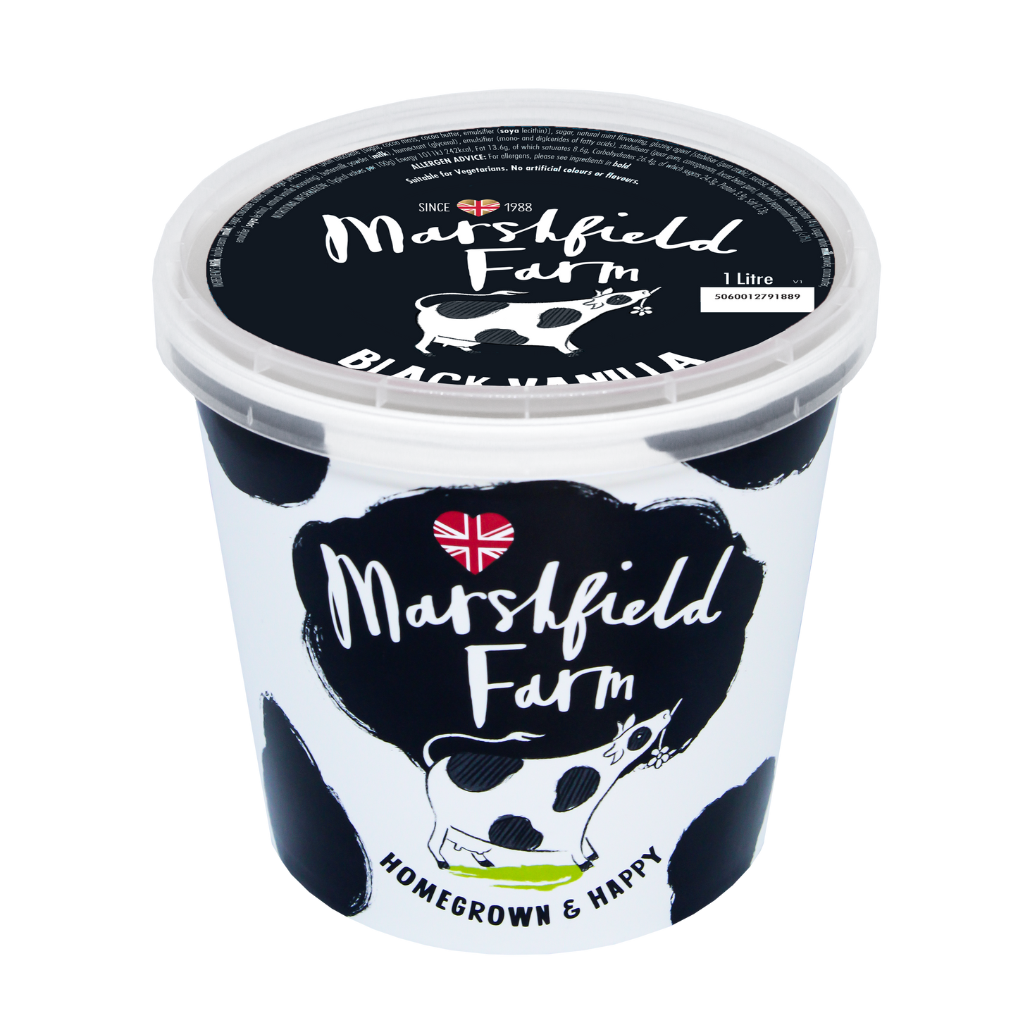 Black Vanilla Ice Cream