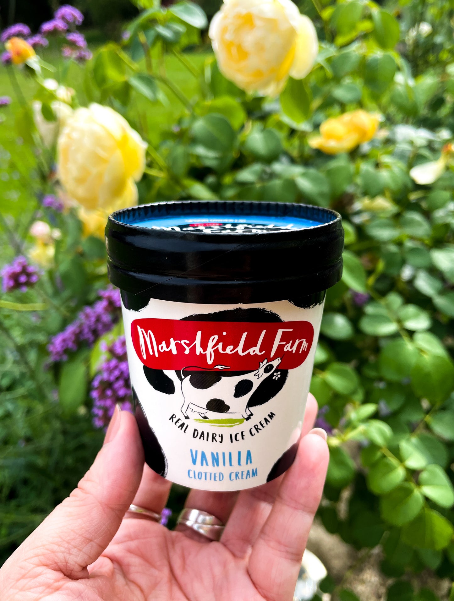 Vanilla Clotted Cream Mini Tubs