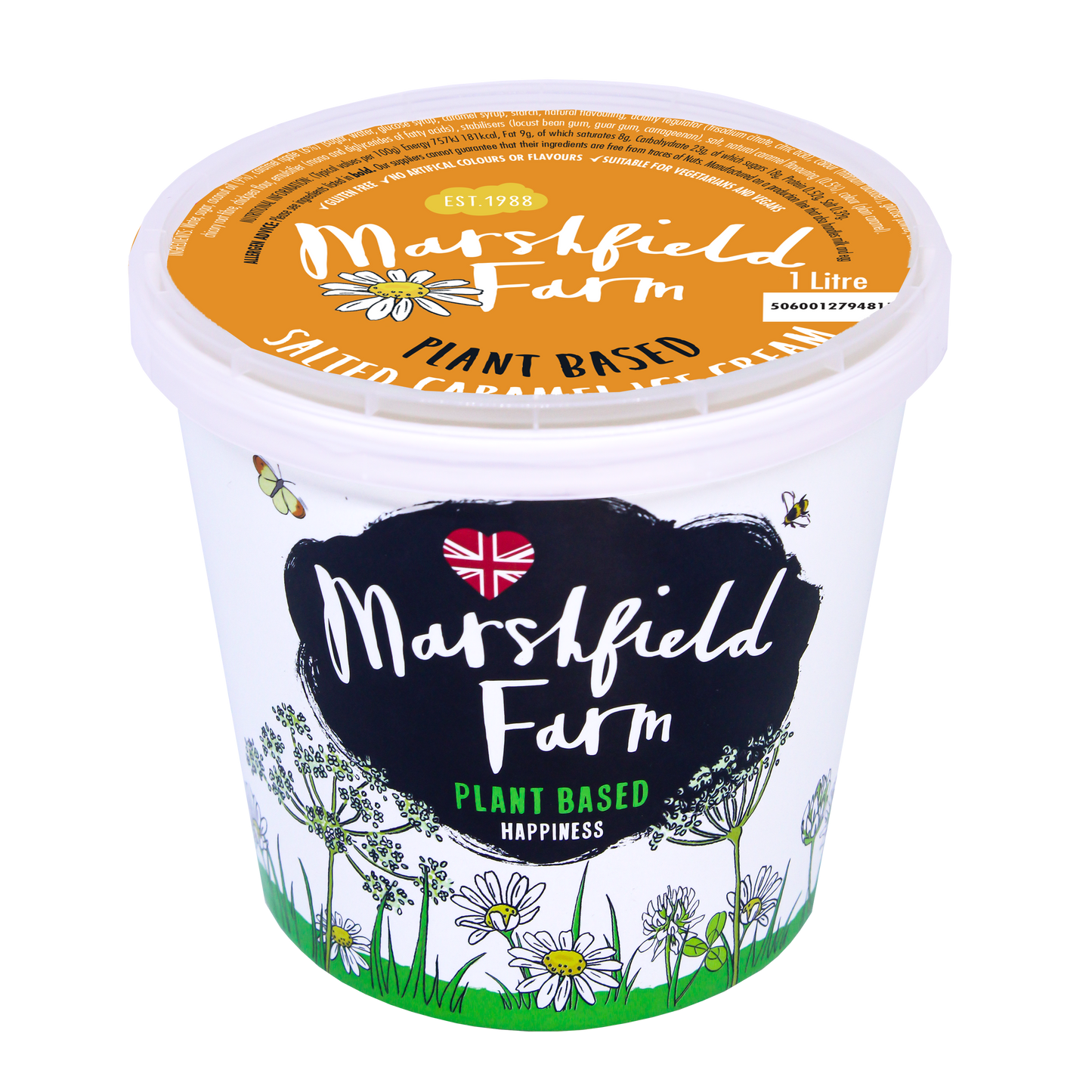 Plant Based Salted Caramel Ice Cream