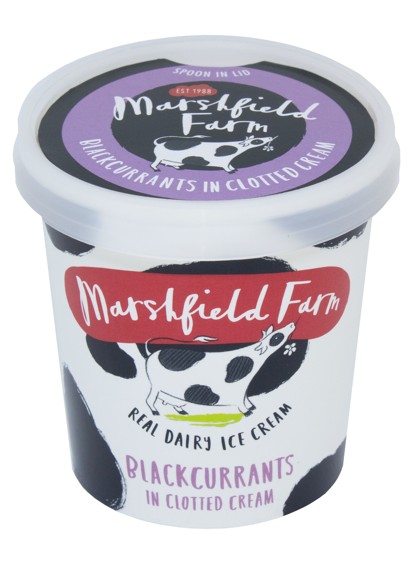 Marshfield Farm Ice Cream 125ml Blackcurrants in Clotted Cream