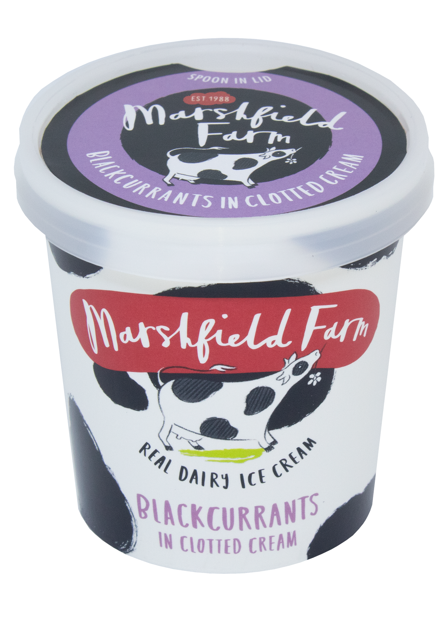 Marshfield Farm Ice Cream 125ml Blackcurrants in Clotted Cream