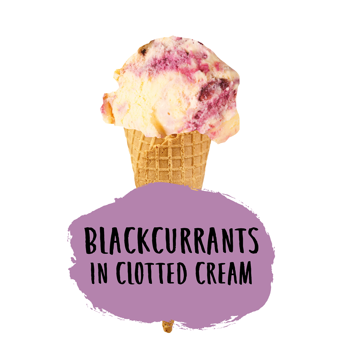 Blackcurrants in Clotted Cream Ice Cream