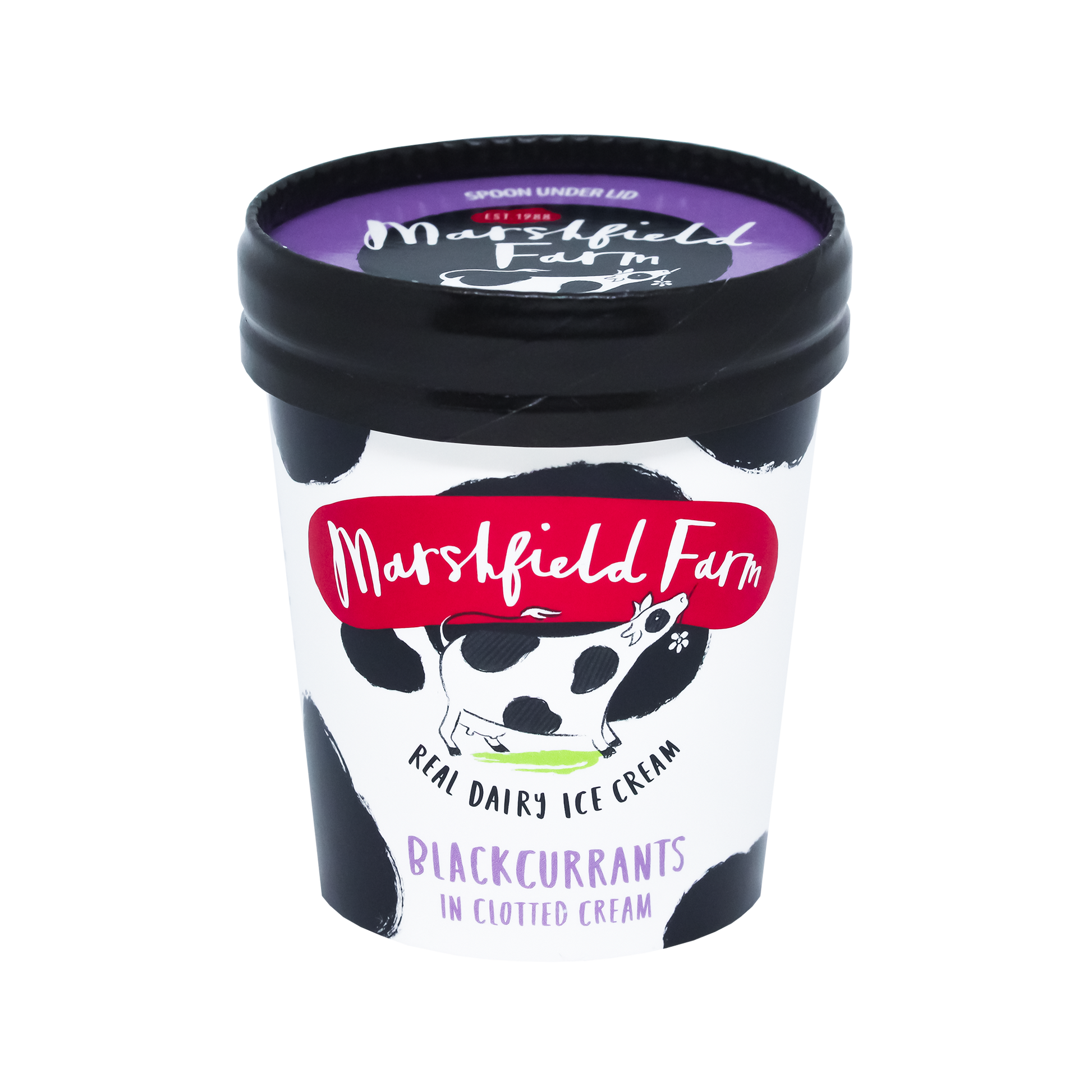 Marshfield Farm Blackcurrants in Clotted Cream Ice Cream 125ml Tub