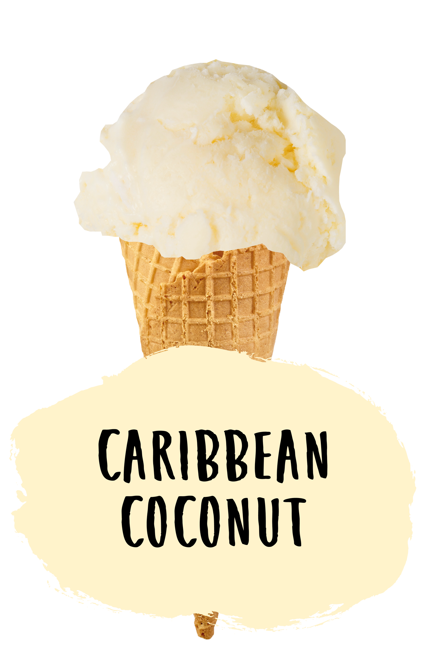 Marshfield Farm Caribbean Coconut Flavour Cone