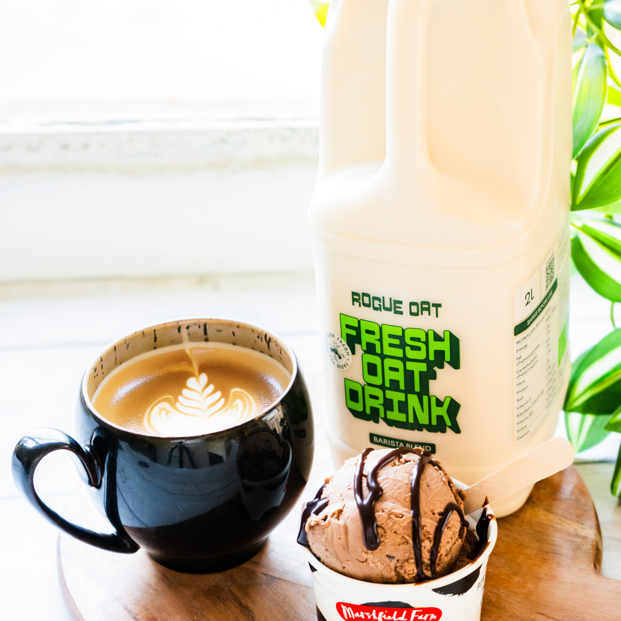 We Just Launched a Vegan Plant-Based Chocolate Ice Cream made with oat milk – Here’s the Story Behind It!