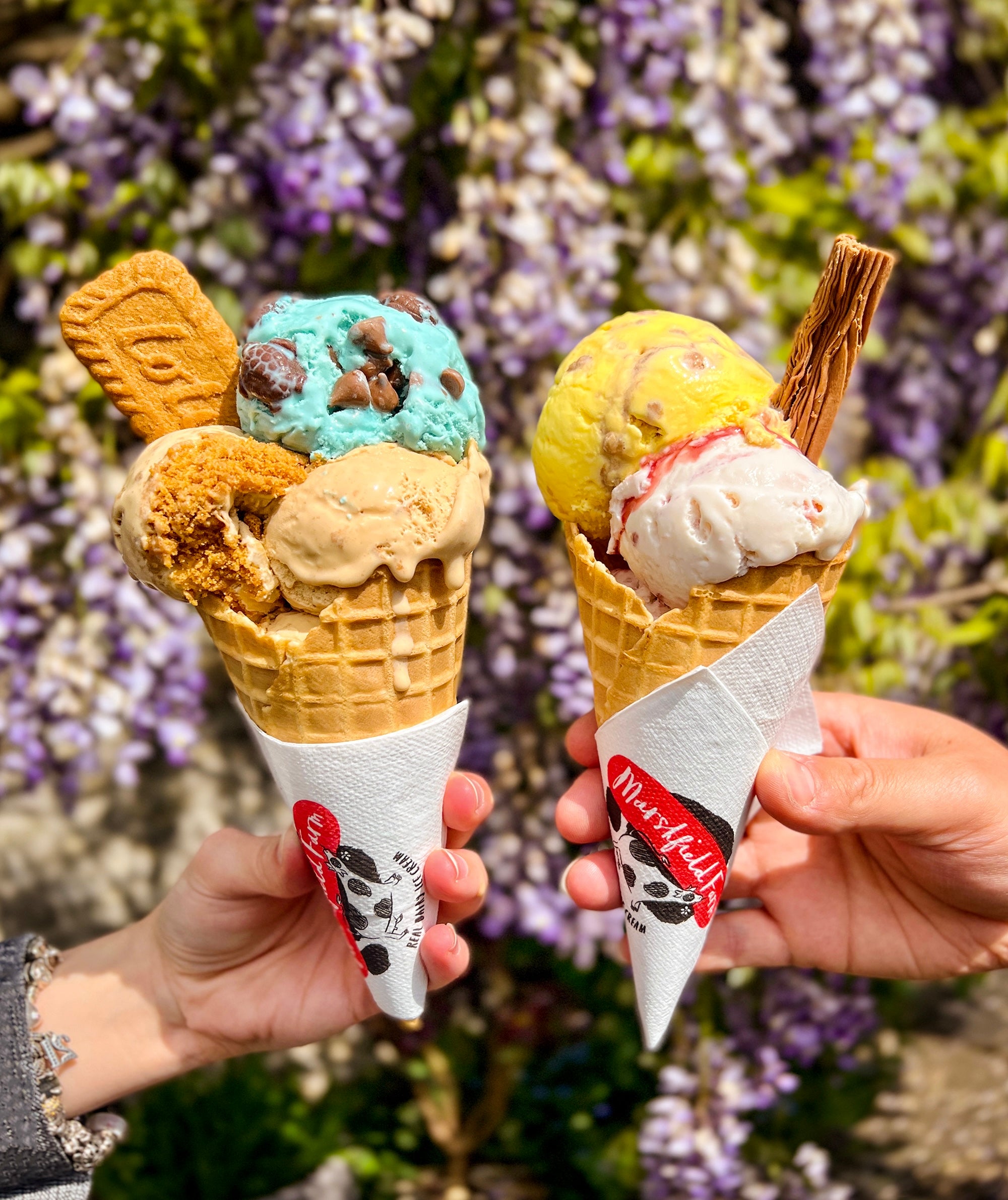 An update on our parlour for 2023 Marshfield Farm Ice Cream