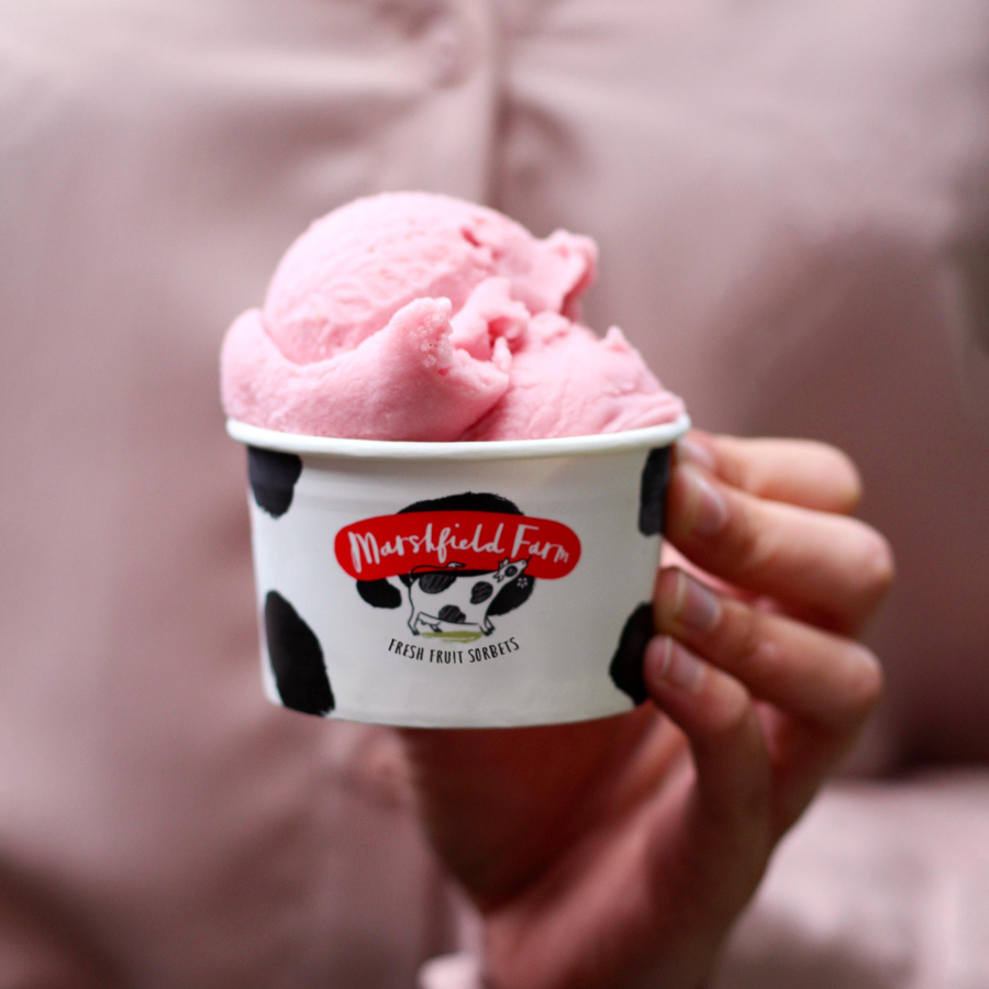 Great Taste Award-Winner!