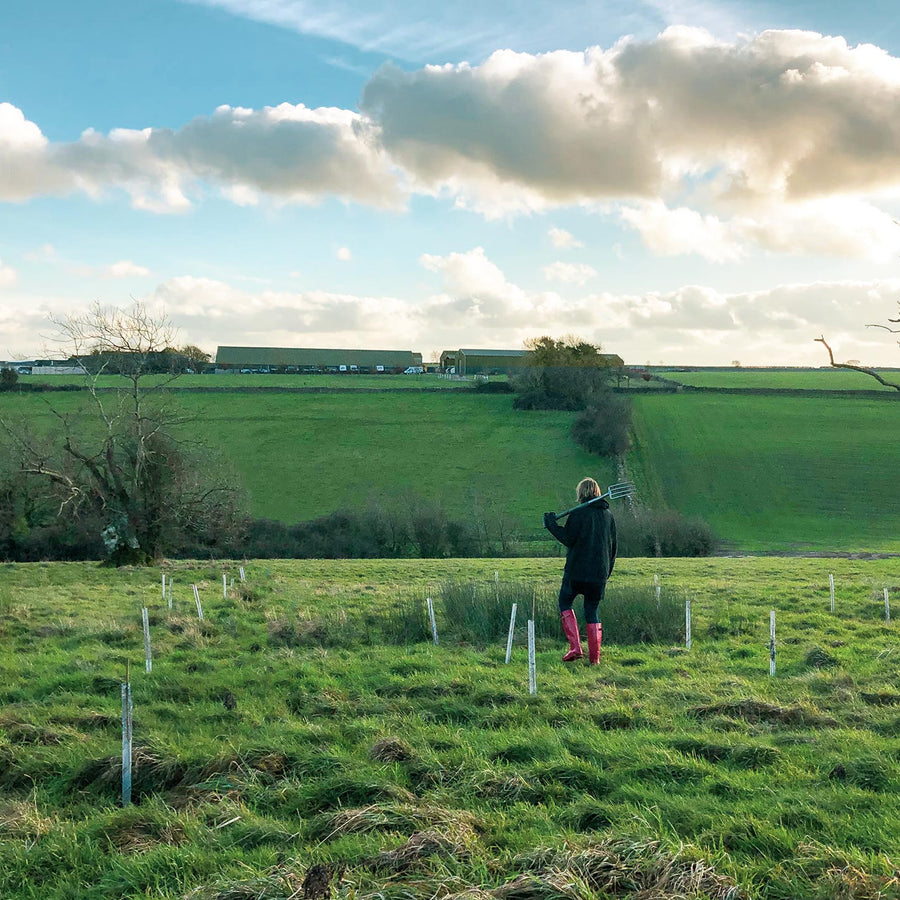 Tree Planting Programme at Marshfield Farm