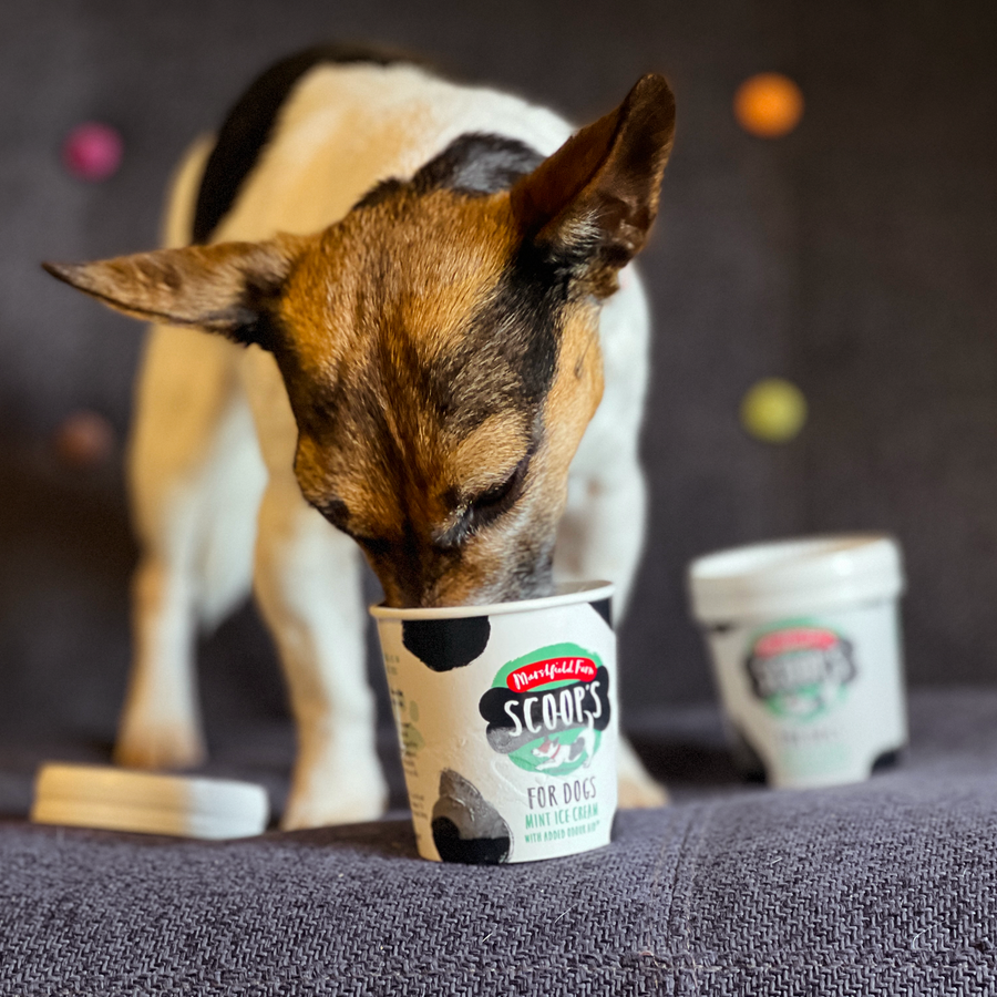 Scoop and her mint ice cream