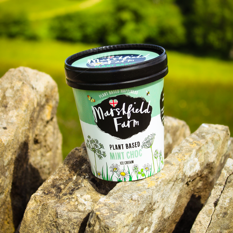 Plant Based Mint Choc in 500m tub