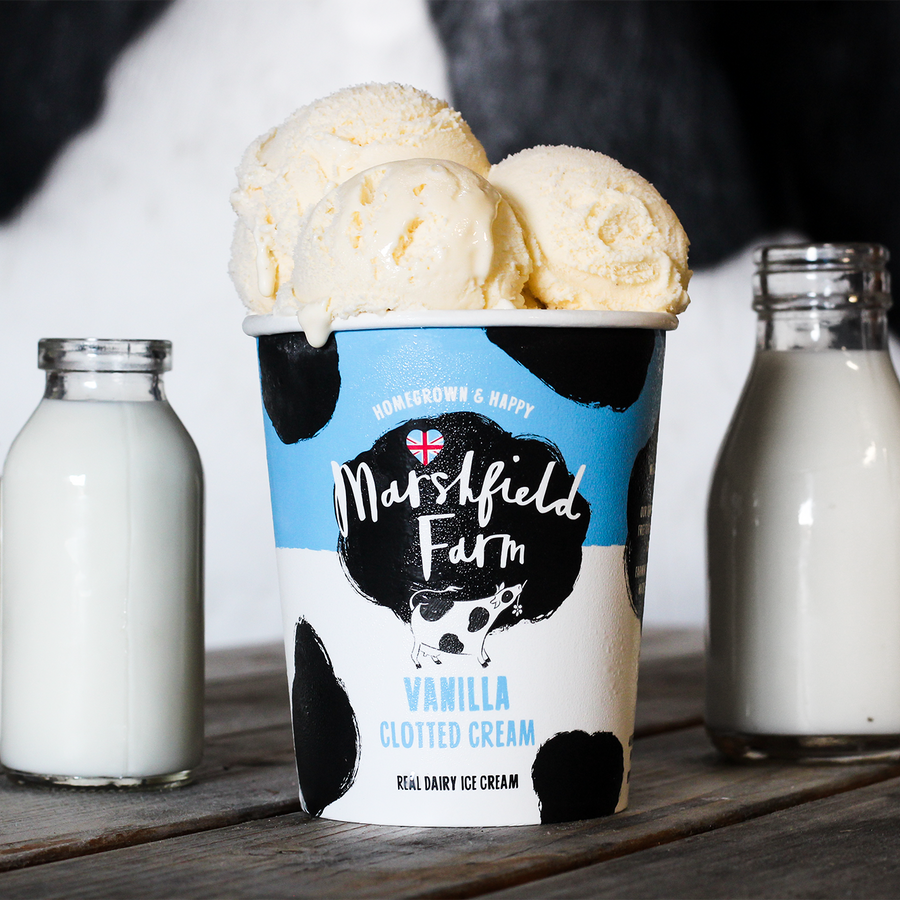 Marshfield Farm Vanilla Ice Cream 500ml Tub