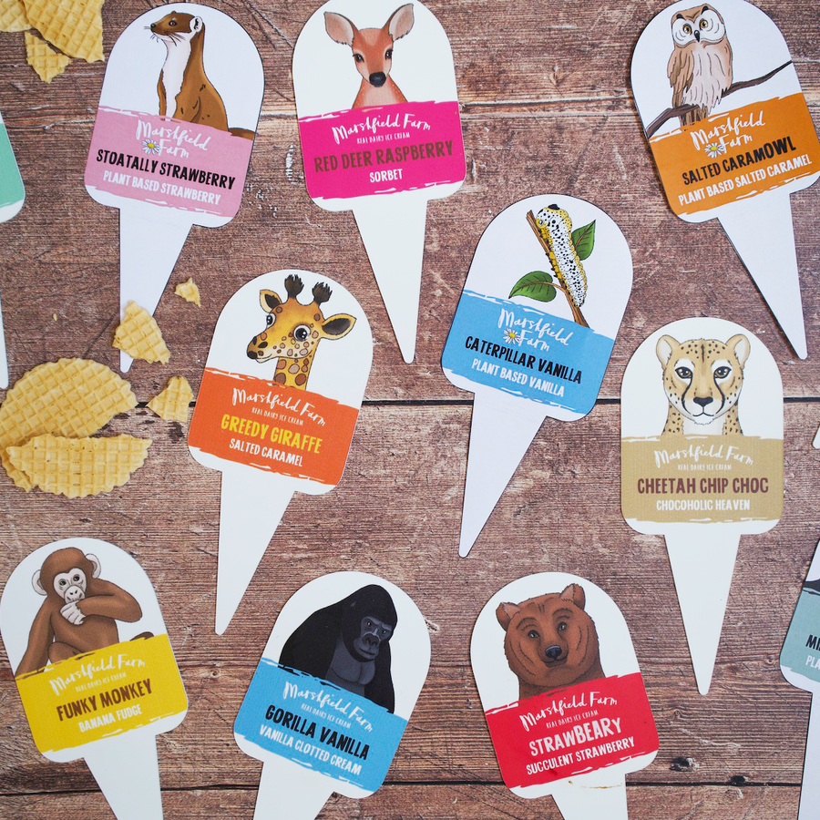 Bristol Zoological Society custom illustrated flavour stabbers