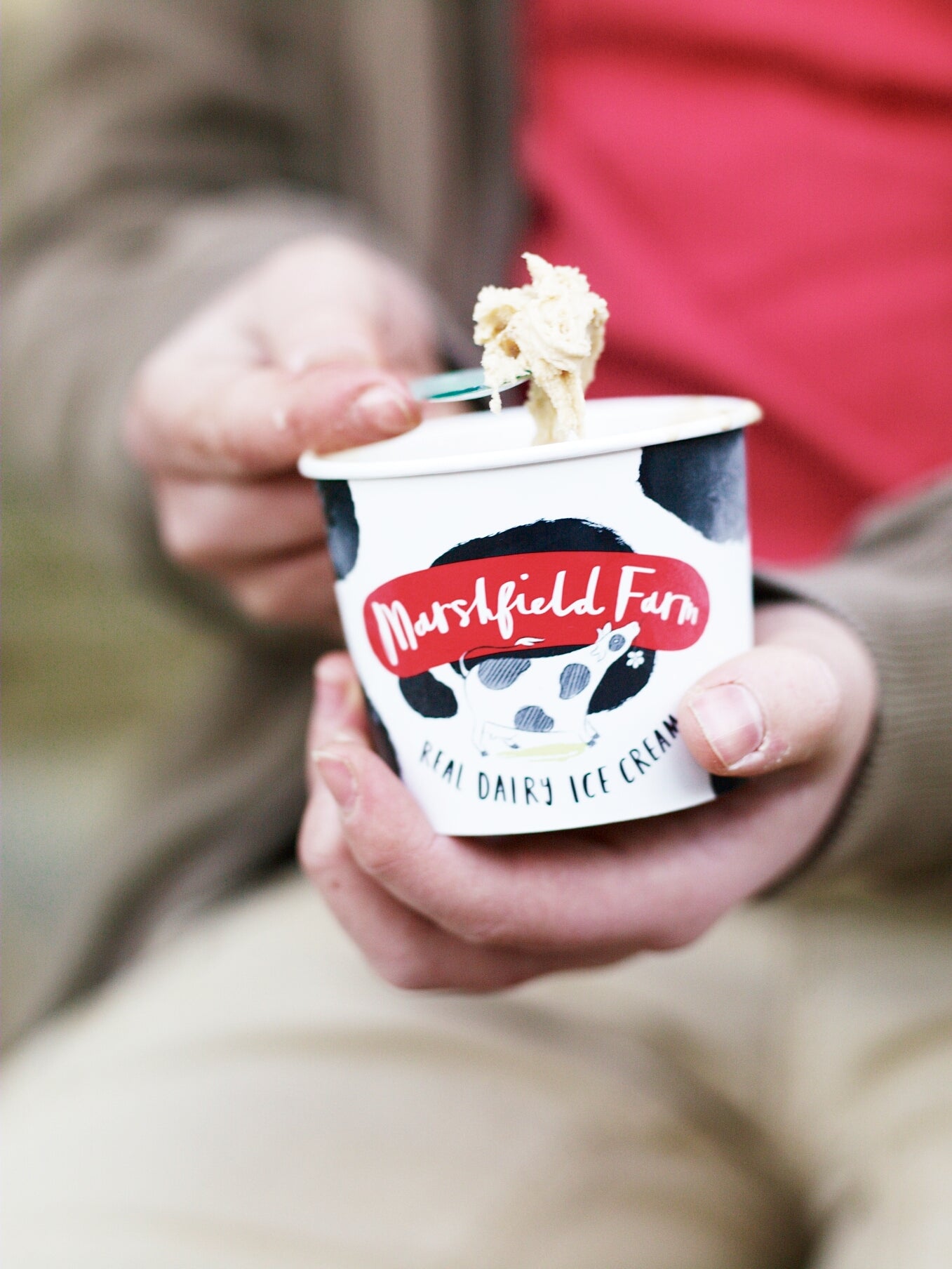 From Cow to Cone in 24 hours Marshfield Farm Ice Cream