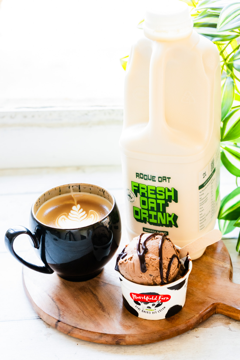 Plant-Based Chocolate Ice Cream