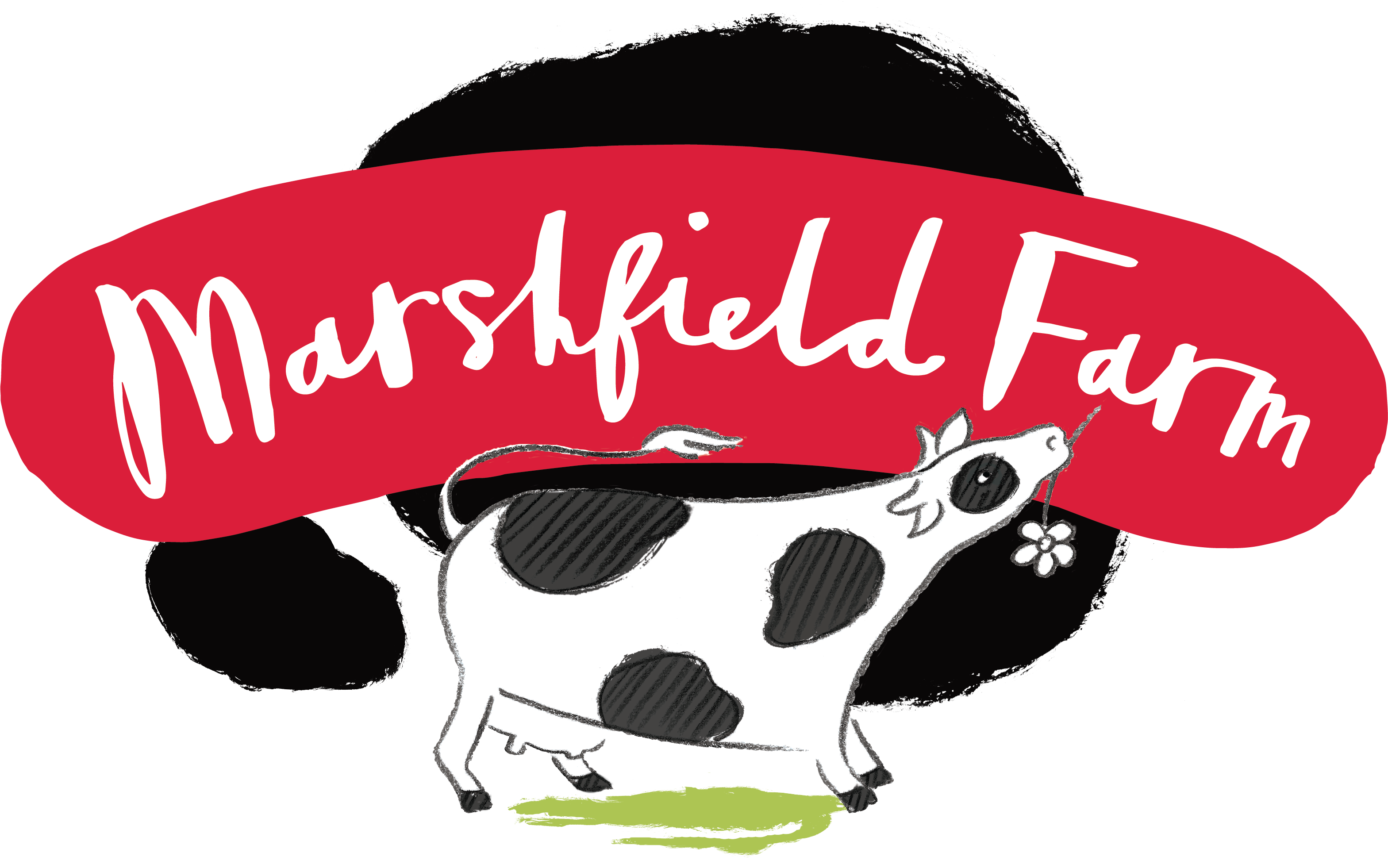 Marshfield Farm Ice Cream