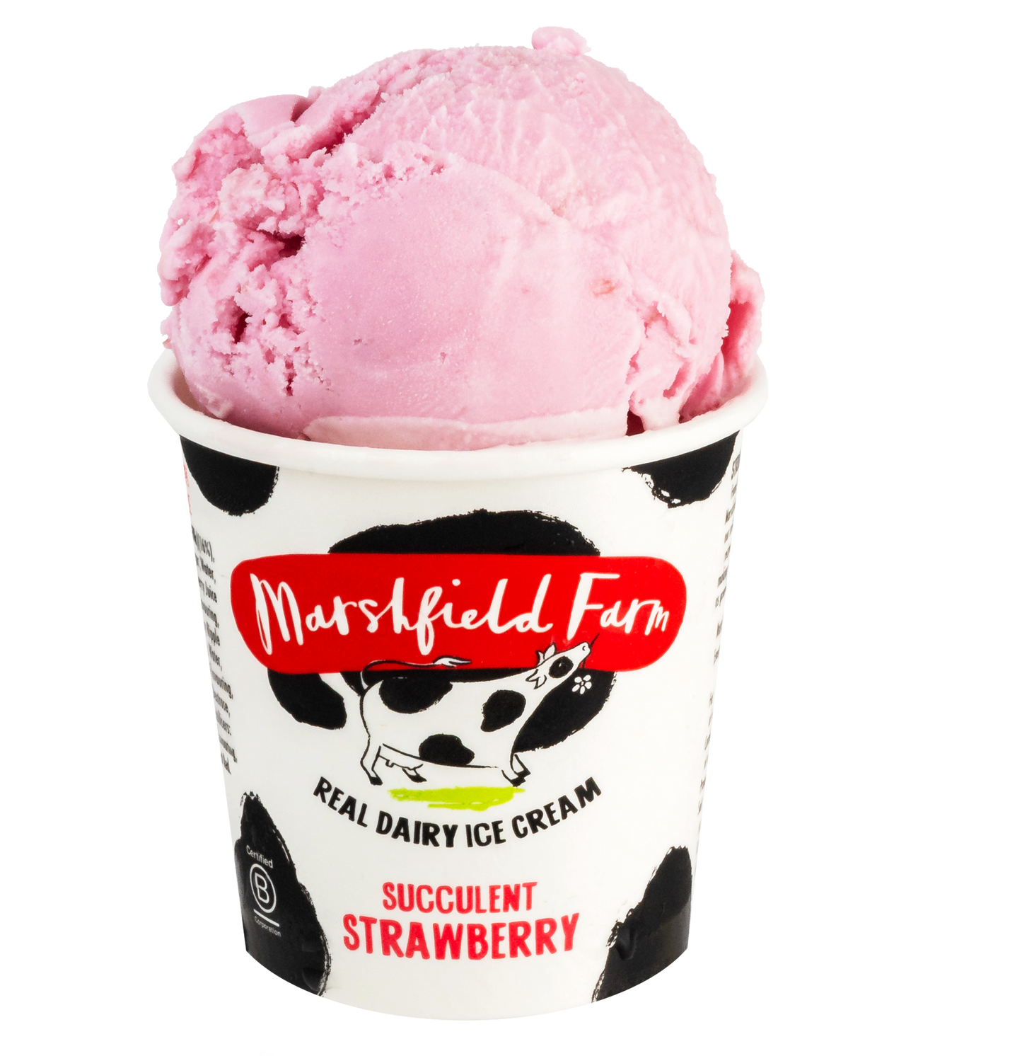 Succulent Strawberry Mini Tubs
