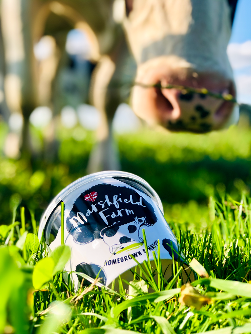 Marshfield Farm Ice Cream