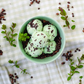 Marshfield Farm Mint Choc Chip Ice Cream