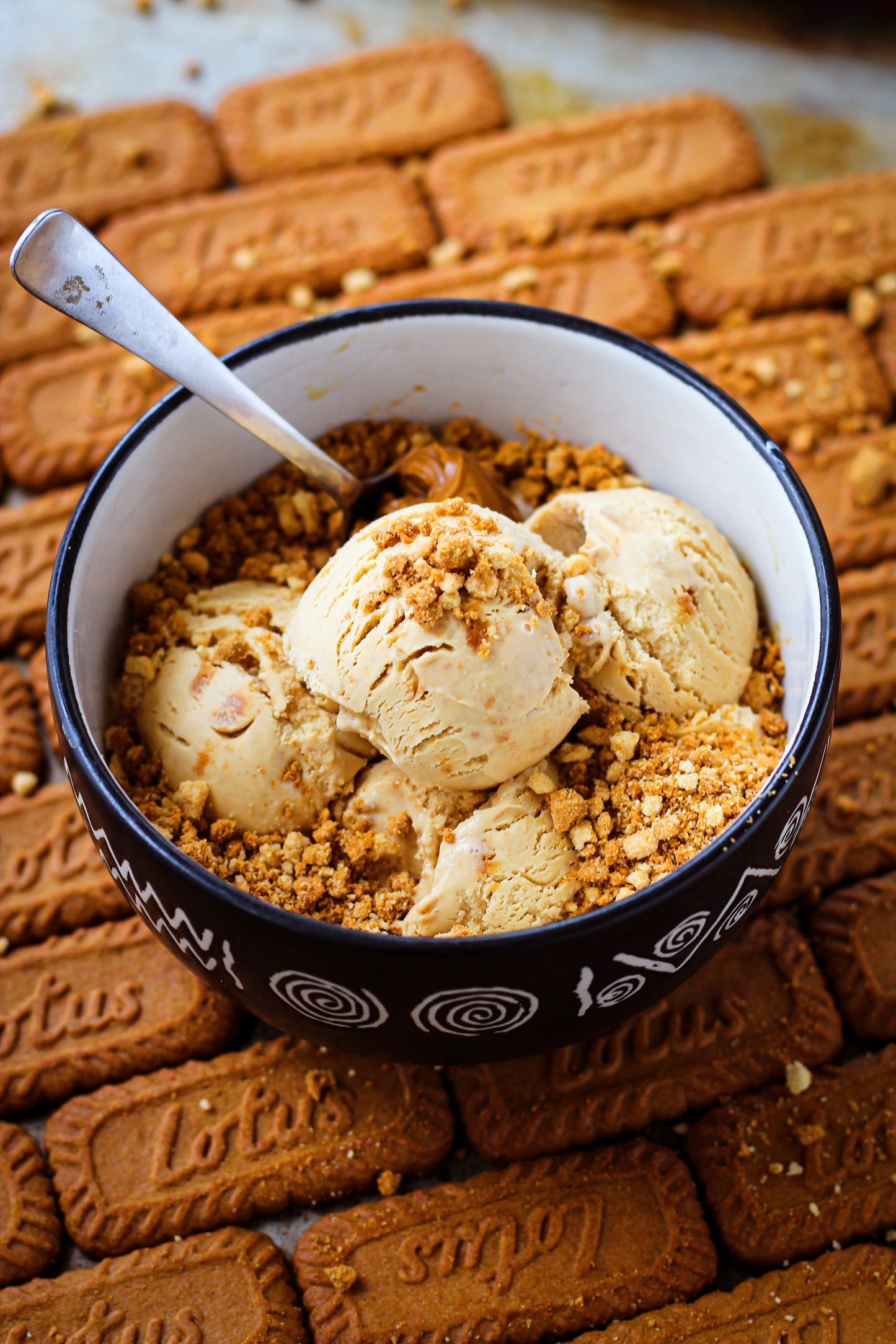 Marshfield Farm Caramelised Biscuit Ice Cream