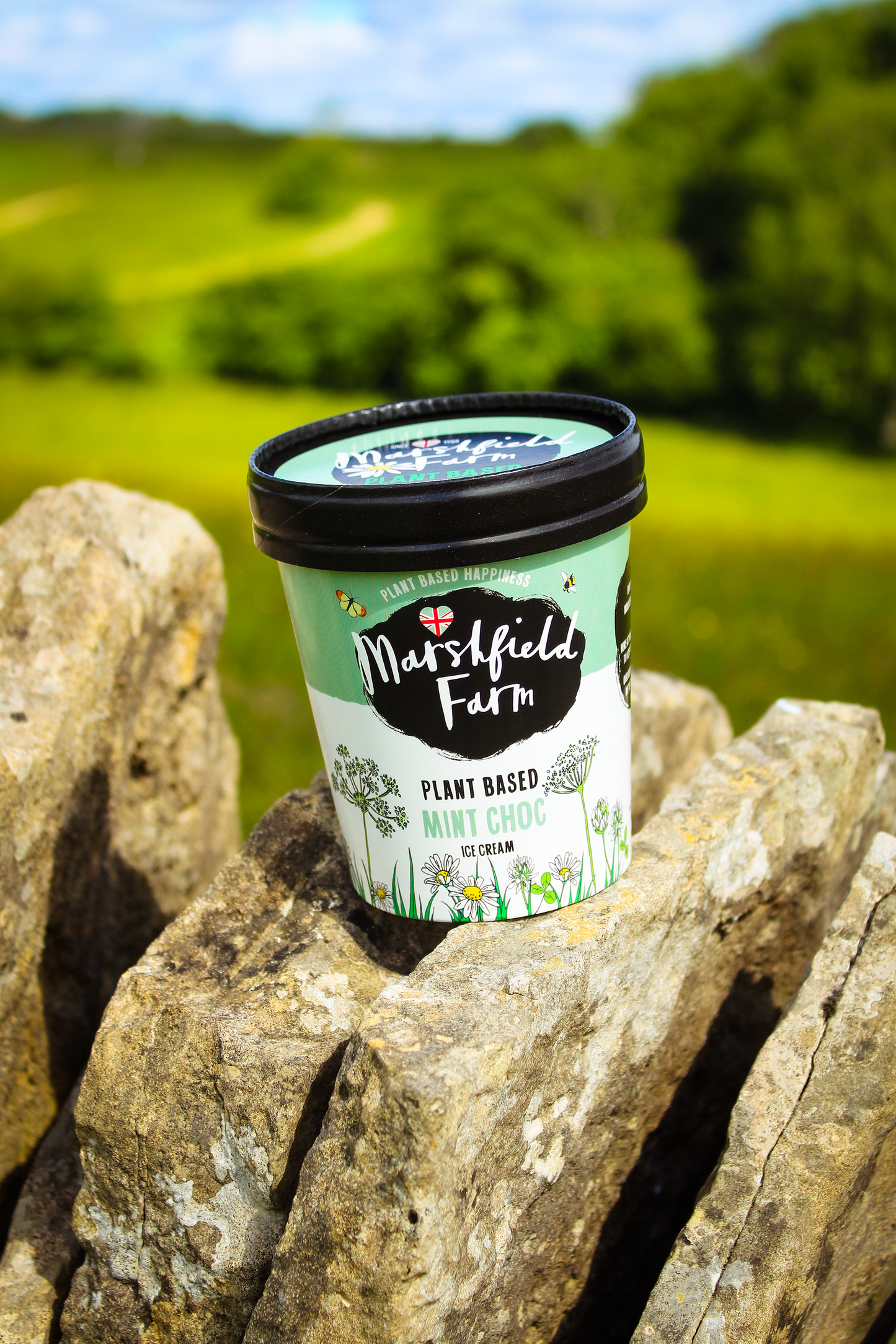 Marshfield Farm Plant Based Mint Choc Ice Cream 500ml Tub