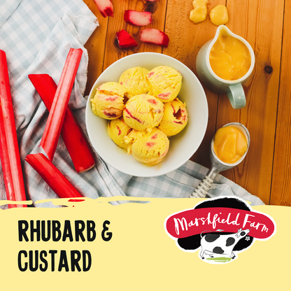 Rhubarb and Custard Ice Cream