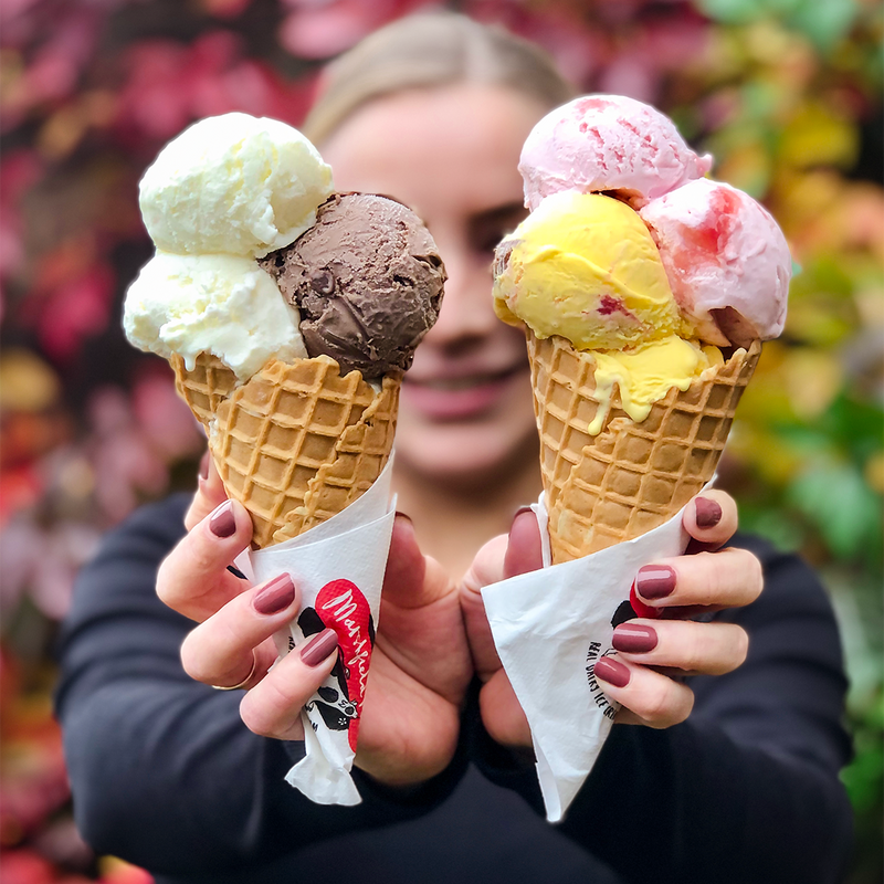 Full Carousel Test Marshfield Farm Ice Cream