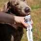 SHOPIFY NAT Marshfield Scoops Dog Puppuccino Pop 1 x110ml (Not for Human Consumption)