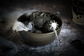 Marshfield Farm Black Vanilla Ice Cream Halloween Bowl