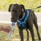 SHOPIFY NAT Marshfield Scoops Dog Puppuccino Pop 1 x110ml (Not for Human Consumption)