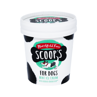 Scoops Ice Cream For Dogs Mint