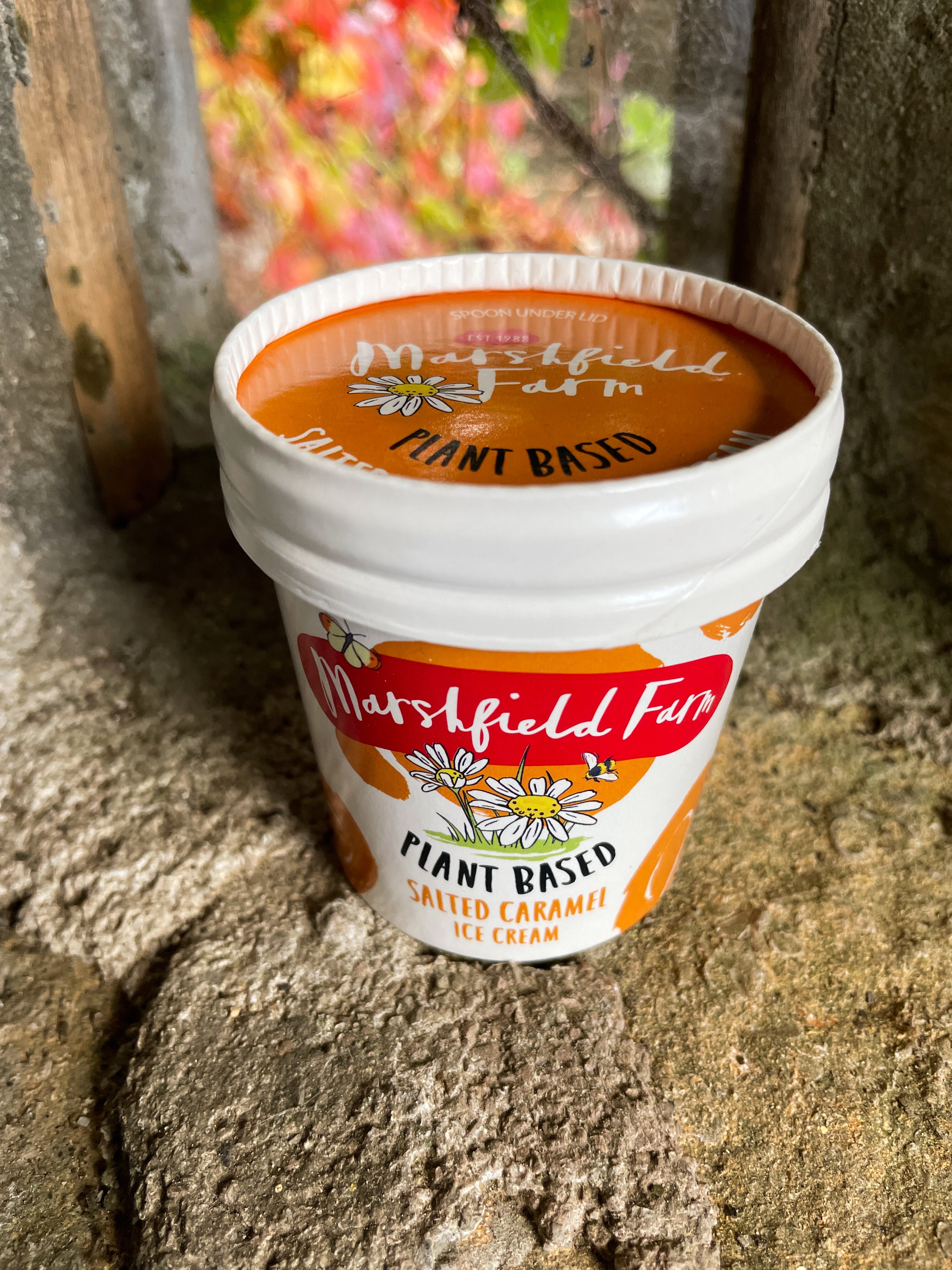 Plant Based Salted Caramel Mini Tubs Marshfield Farm Ice Cream