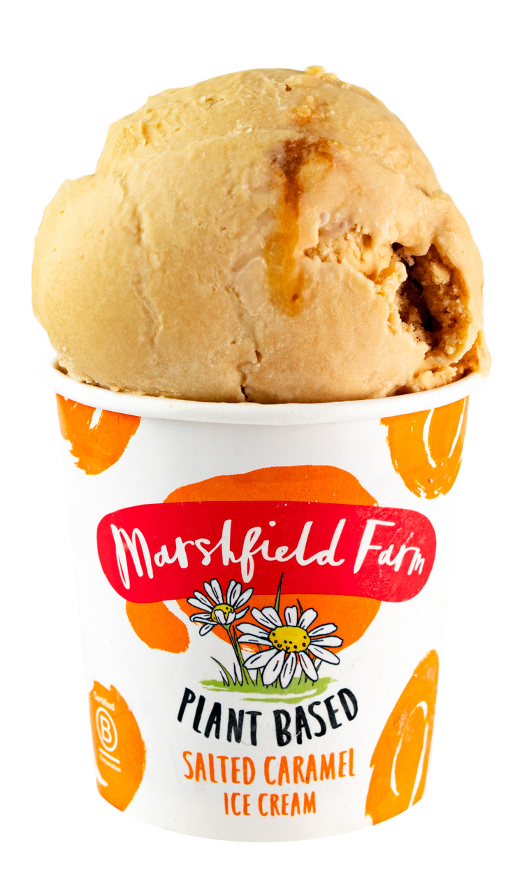 Plant Based Salted Caramel Mini Tubs