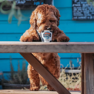 Scoop'S Vanilla Ice Cream For Dogs