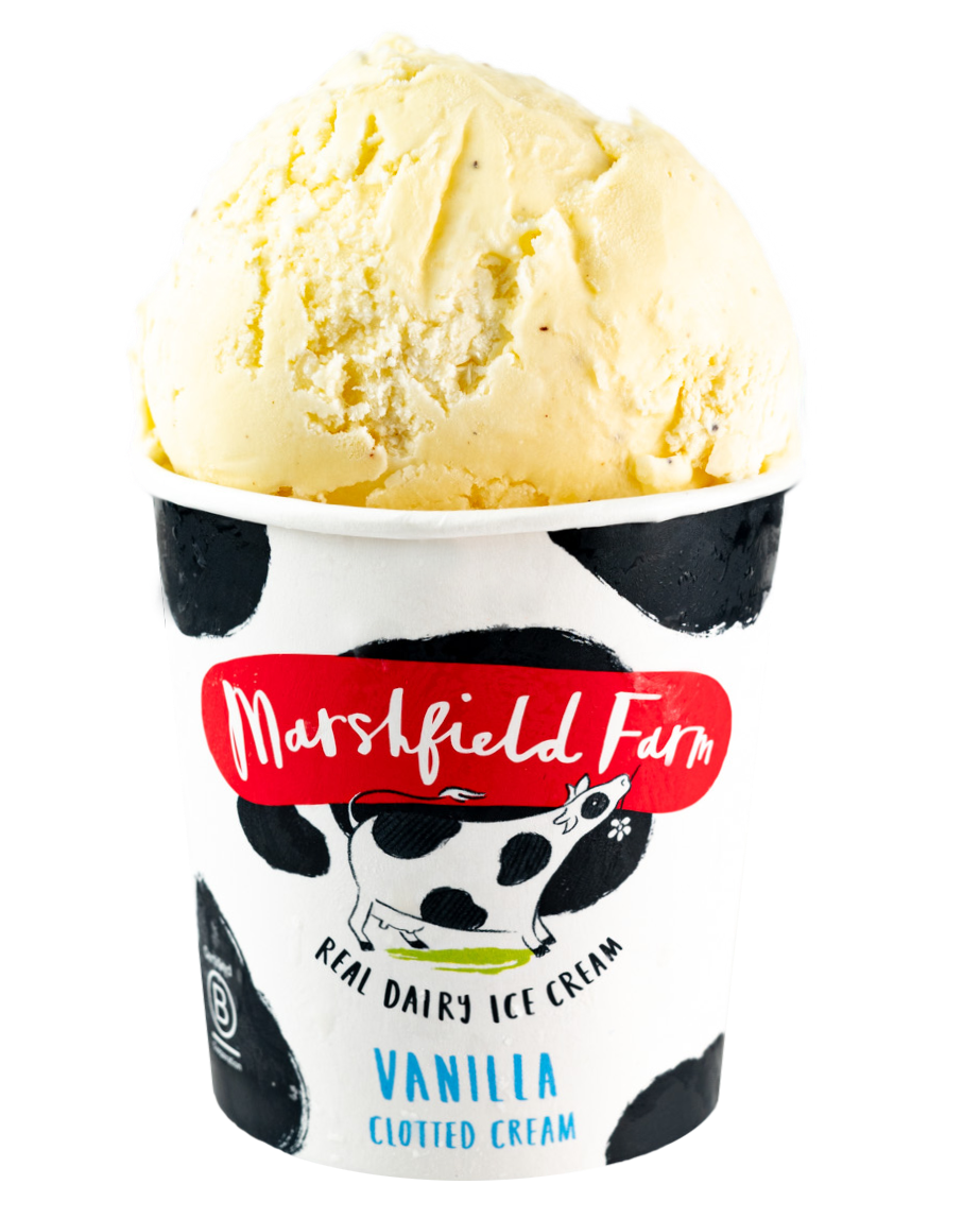 Vanilla Clotted Cream Mini Tubs