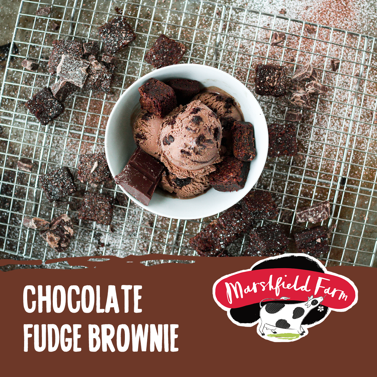 Chocolate Fudge Brownie Ice Cream
