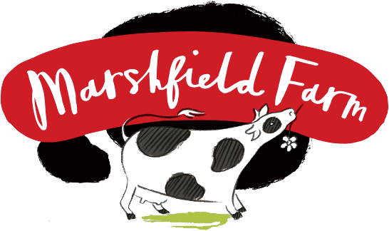 Marshfield Farm Ice Cream