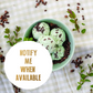 Mint Choc Chip Ice Cream