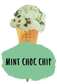 Mint Choc Chip Ice Cream