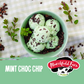 Mint Choc Chip Ice Cream