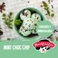 Mint Choc Chip Ice Cream