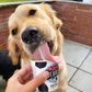 Dog enjoying Scoop's Ice Cream for Dogs