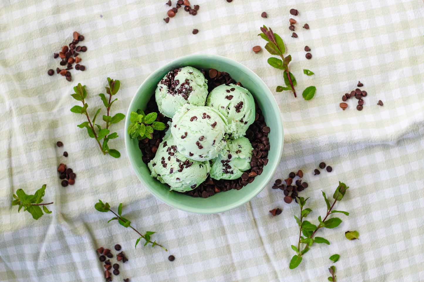 Marshfield Farm Mint Choc Chip Ice Cream