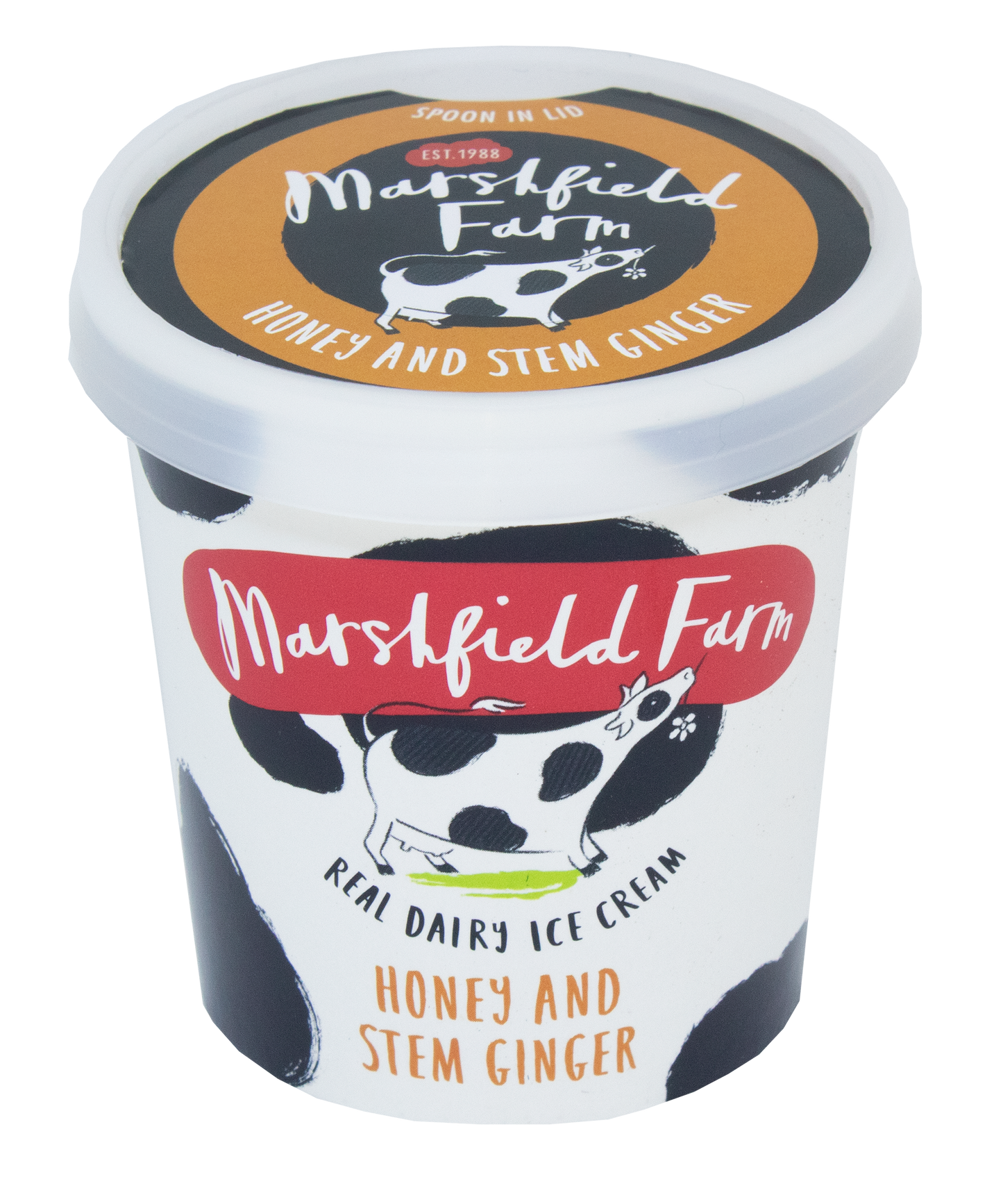 Marshfield Farm Ice Cream 125ml Honey and Stem Ginger Tub