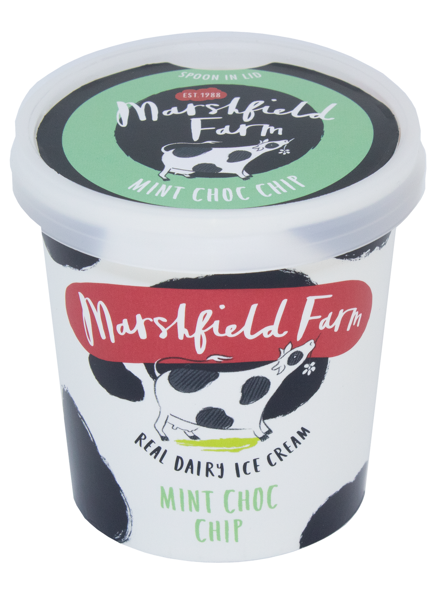 Marshfield Farm Ice Cream 125ml Mint Choc Chip