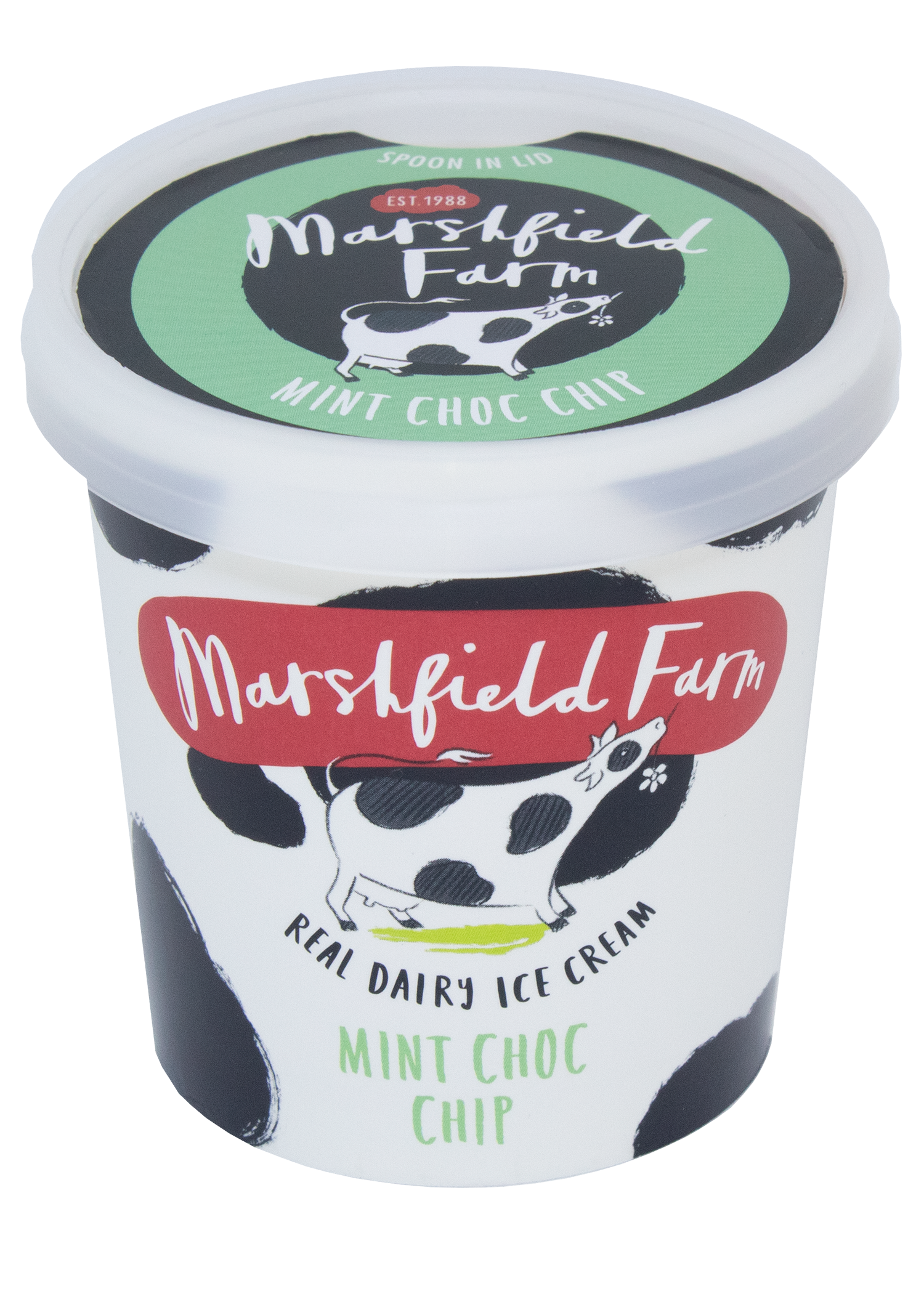 Marshfield Farm Ice Cream 125ml Mint Choc Chip