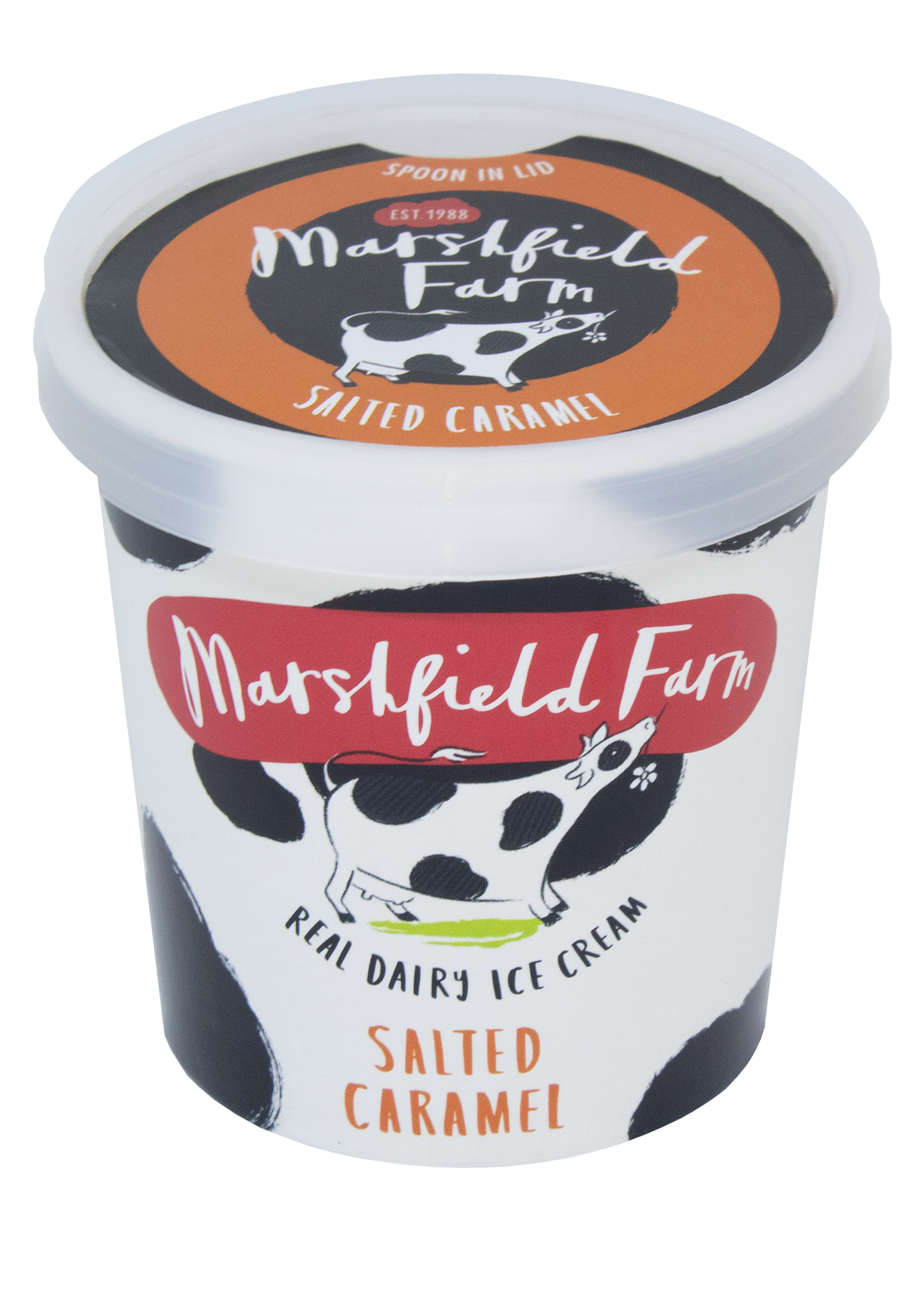 Marshfield Farm Ice Cream 125ml Salted Caramel Tub